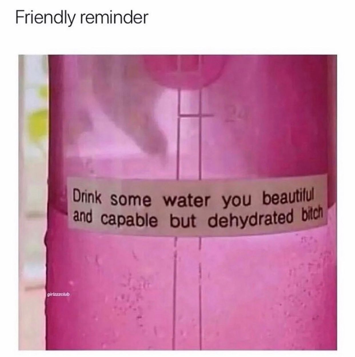 The meme is a humorous reminder to drink water, presented in a playful and sarcastic tone. The image features a label on a water bottle that reads "Drink some water you beautiful and capable but dehydrated bitch". The text is meant to be ironic and humorous, poking fun at the idea of self-encouragement and self-care.